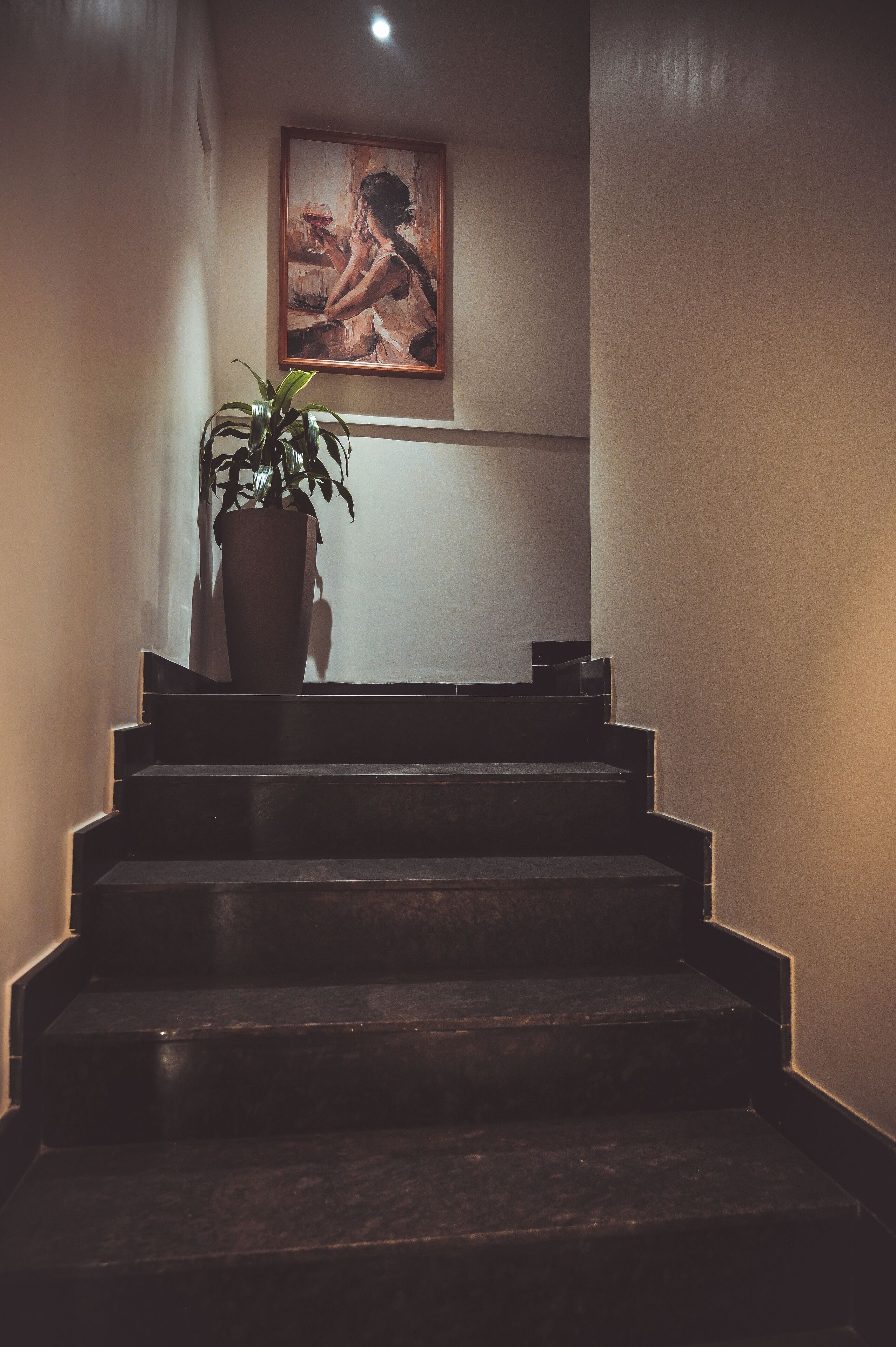 Un escalier orné d’une plante en pot et d’un tableau accroché au mur.