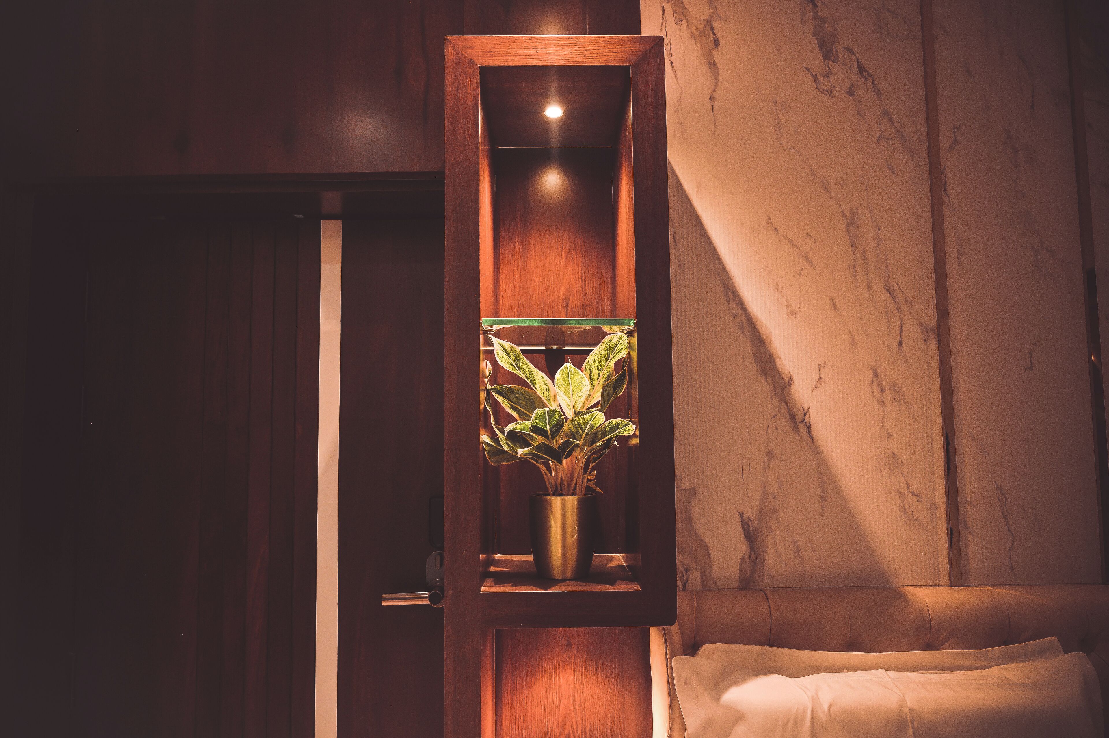 Un meuble en bois doté d’une porte en verre, à l’intérieur duquel se trouve une plante en pot.