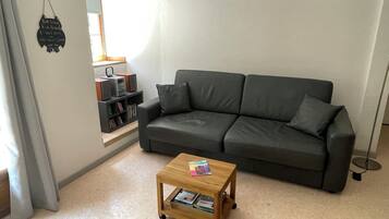 Televisie, een dvd-speler, boeken en een filmbibliotheek