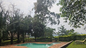 Ein rechteckiger Swimmingpool mit Steinumrandung, umgeben von gepflegtem Rasen und Bäumen.