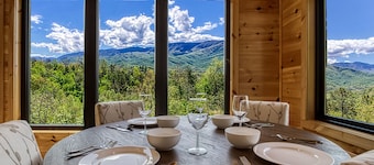 Grand Vista View- $1089 of FREE tickets for each paid day, Dollywood and More