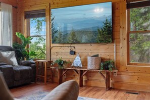 TV, fireplace, video games