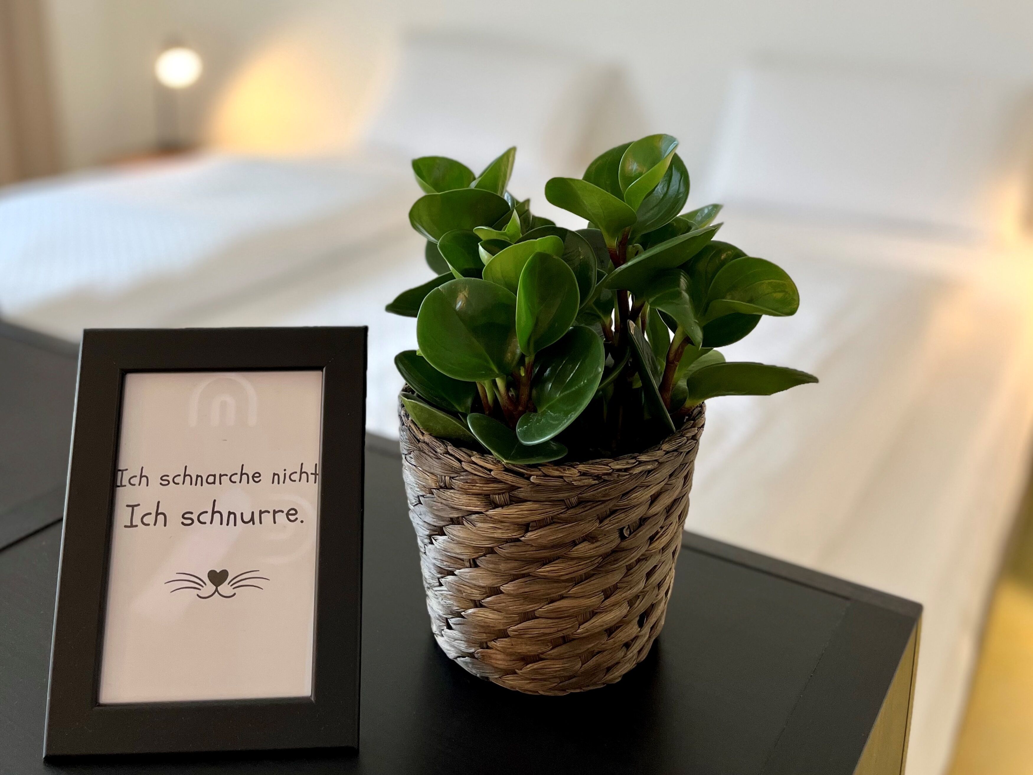 Un letrero en marco, con texto y una planta en maceta sobre una mesita de noche.