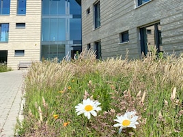 Fachada de la propiedad