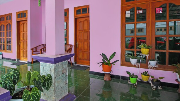 Um quarto com paredes cor-de-rosa, portas de madeira e chão ladrilhado. Há plantas em vasos numa prateleira e um banco.