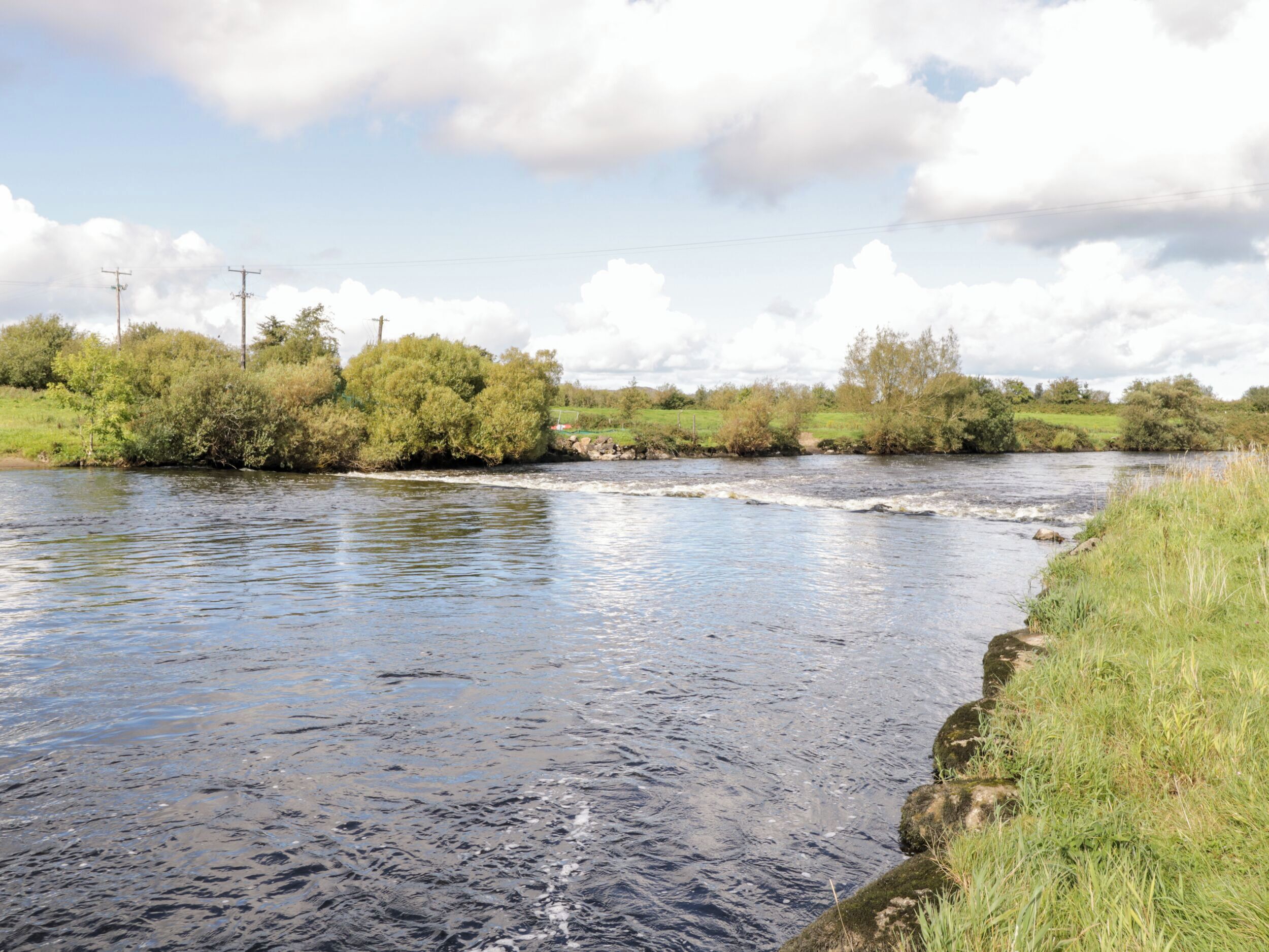 A river with a grassy bank and trees in the background.