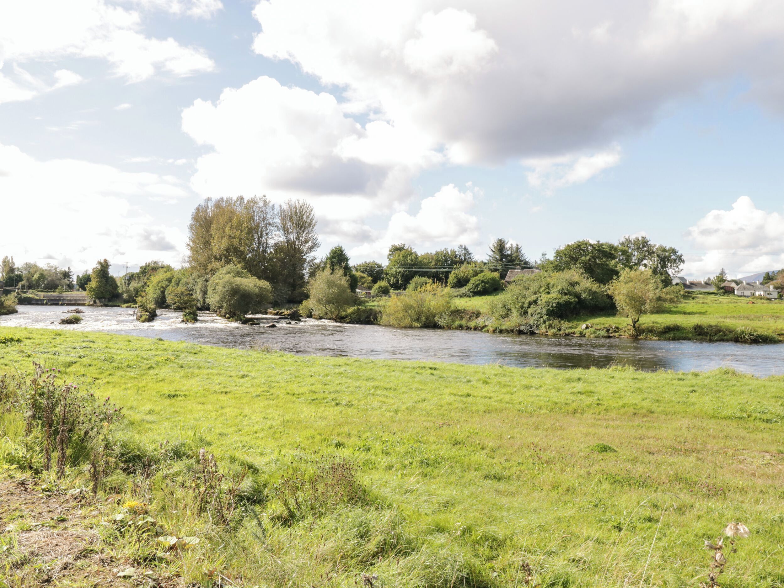 Un río serpentea por un campo cubierto de hierba, con árboles y casas al fondo.