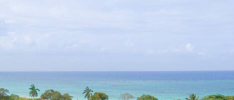 ビーチの近く、ビーチタオル