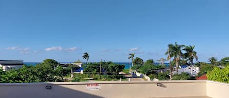 A swimming pool with a 'No Diving' sign, surrounded by lush greenery and palm trees, with a clear view of the ocean in the background.