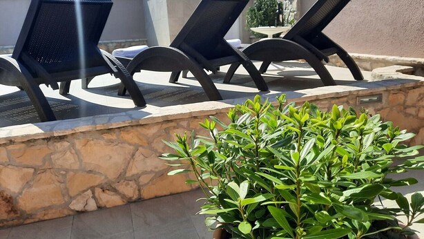Des fauteuils de jardin et une plante en pot.