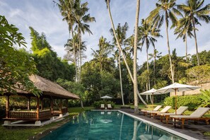 Pool - 4 bedroom private vacation home in ababi (Ababi)