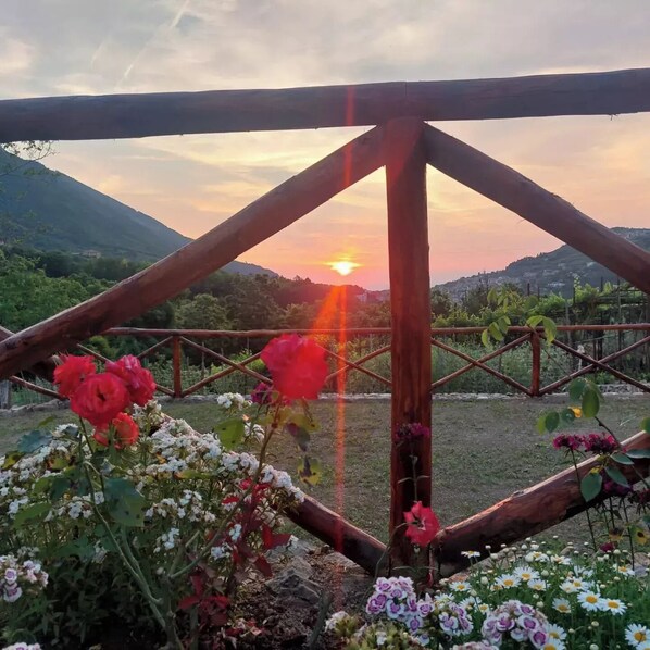 Overnattingsstedets uteområder