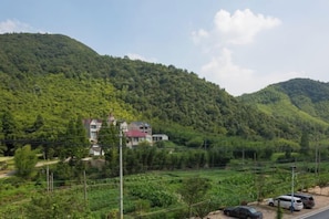 A residential area with houses on a hillside, surrounded by lush greenery. - Ziyan Shanju Inn (Deqing)