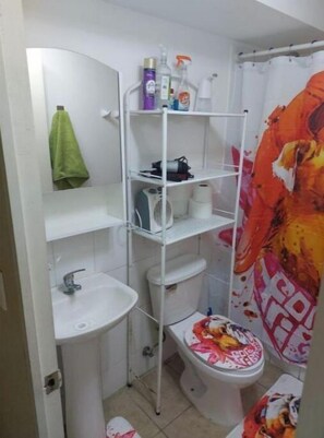 Hair dryer, toilet paper