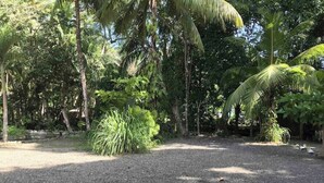 A gravel path surrounded by lush greenery and palm trees. - Manuel Antonio a 100 Metros del mar (Quepos)