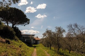 Exterior - Farmhouse Poggio al Turco - Tuscany View (Toscana)