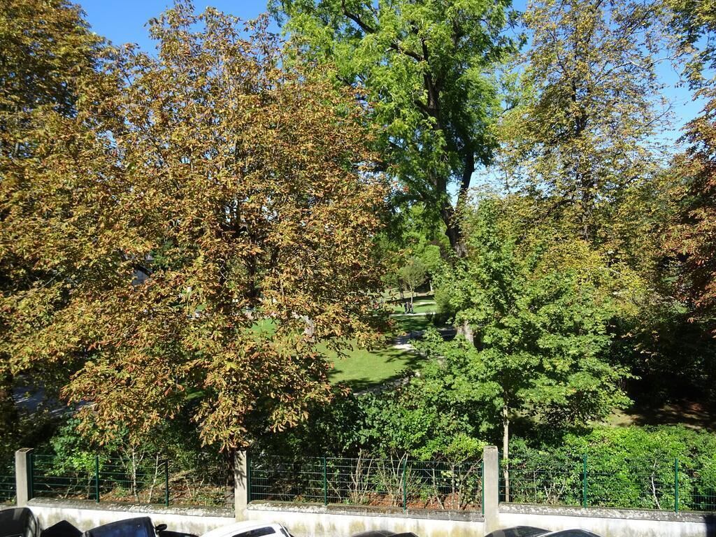 Blick auf einen Park mit Bäumen und einem Zaun.