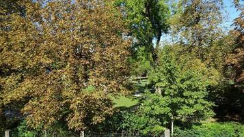 Blick auf einen Park mit Bäumen und einem Zaun.