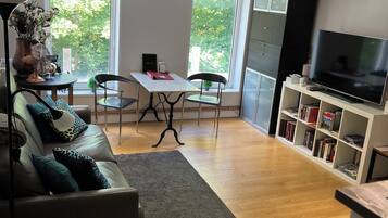Comfort Apartment | Living area | TV