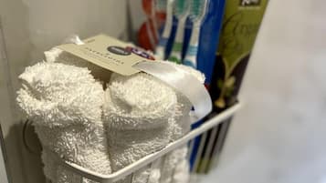 Apartment | Bathroom amenities | Shower, hair dryer, towels