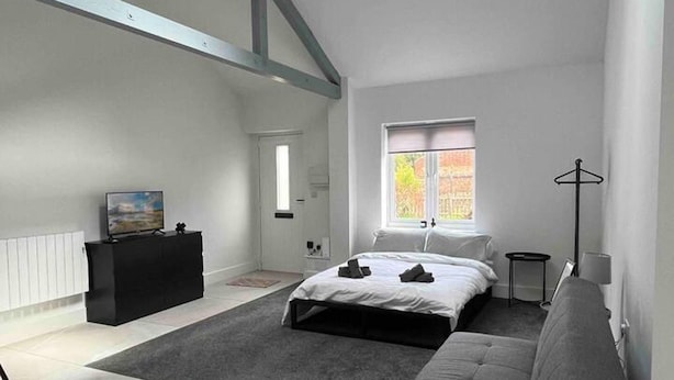 A modern bedroom with a loft-style ceiling, a large bed, a sofa, and a small table. - Remarkable 1-bed Studio in Downham Market (Downham Market)