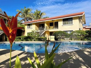 Pool - Lovely Condo In Playa del Coco! (Coco)