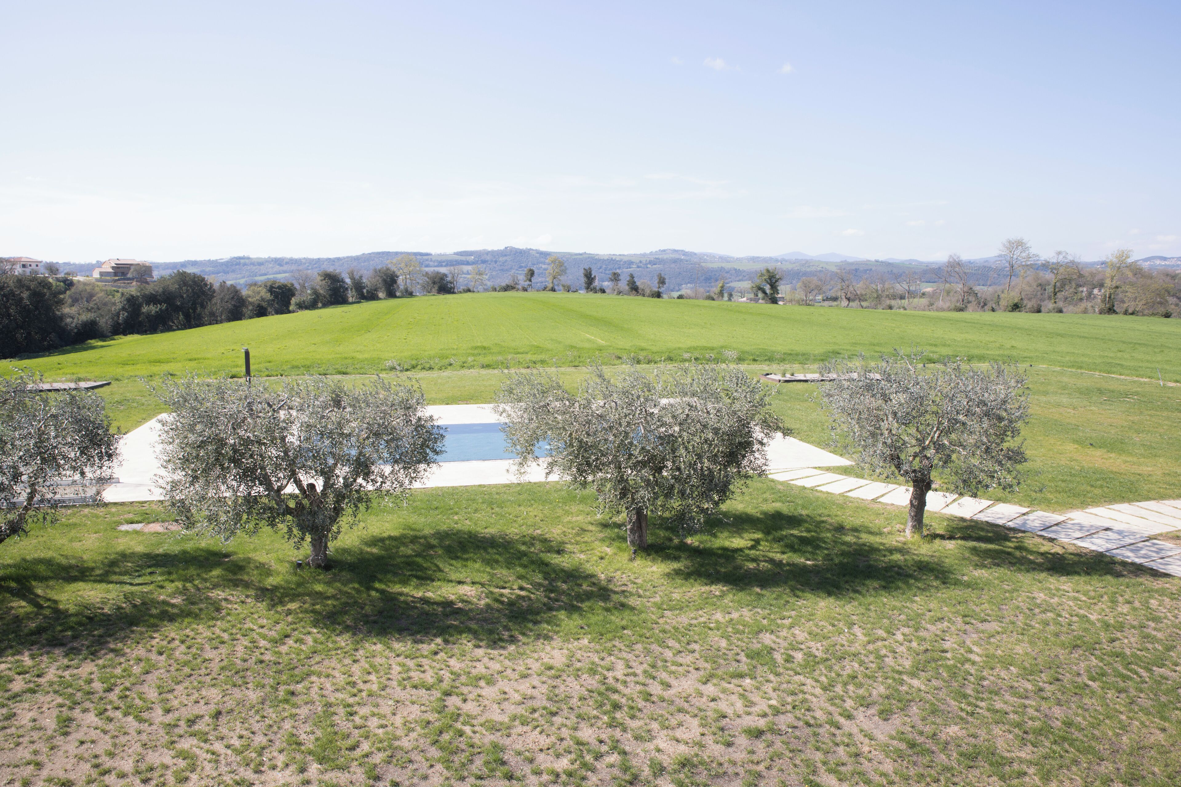 A grassy field with a pathway and trees.