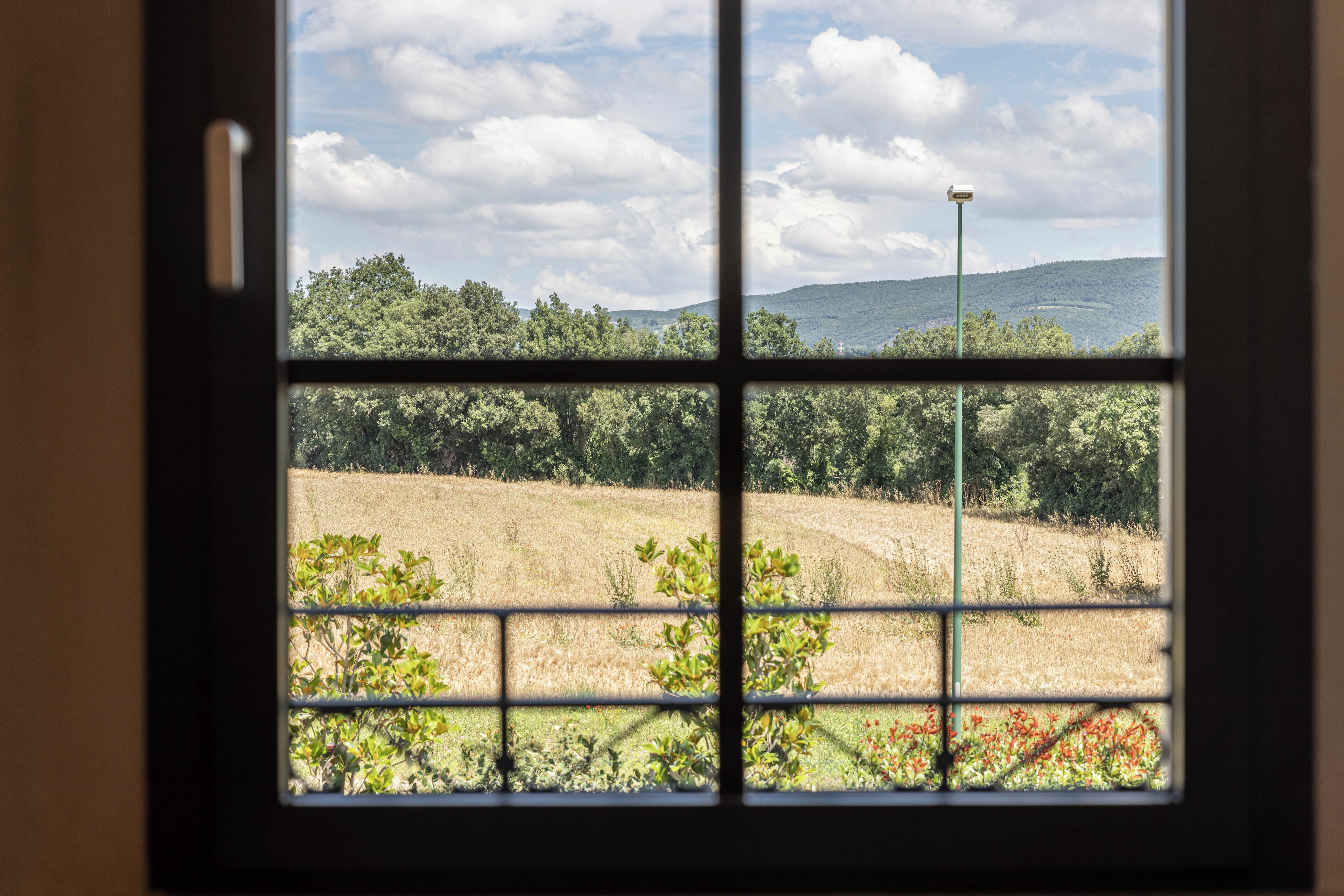 A window view of a field with trees and a distant hill.