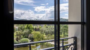 A view through a window with a metal railing, featuring a garden with various plants and a small pond.