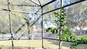 Un jacuzzi con borde de azulejos, rodeado por un patio de ladrillo y plantas en macetas.