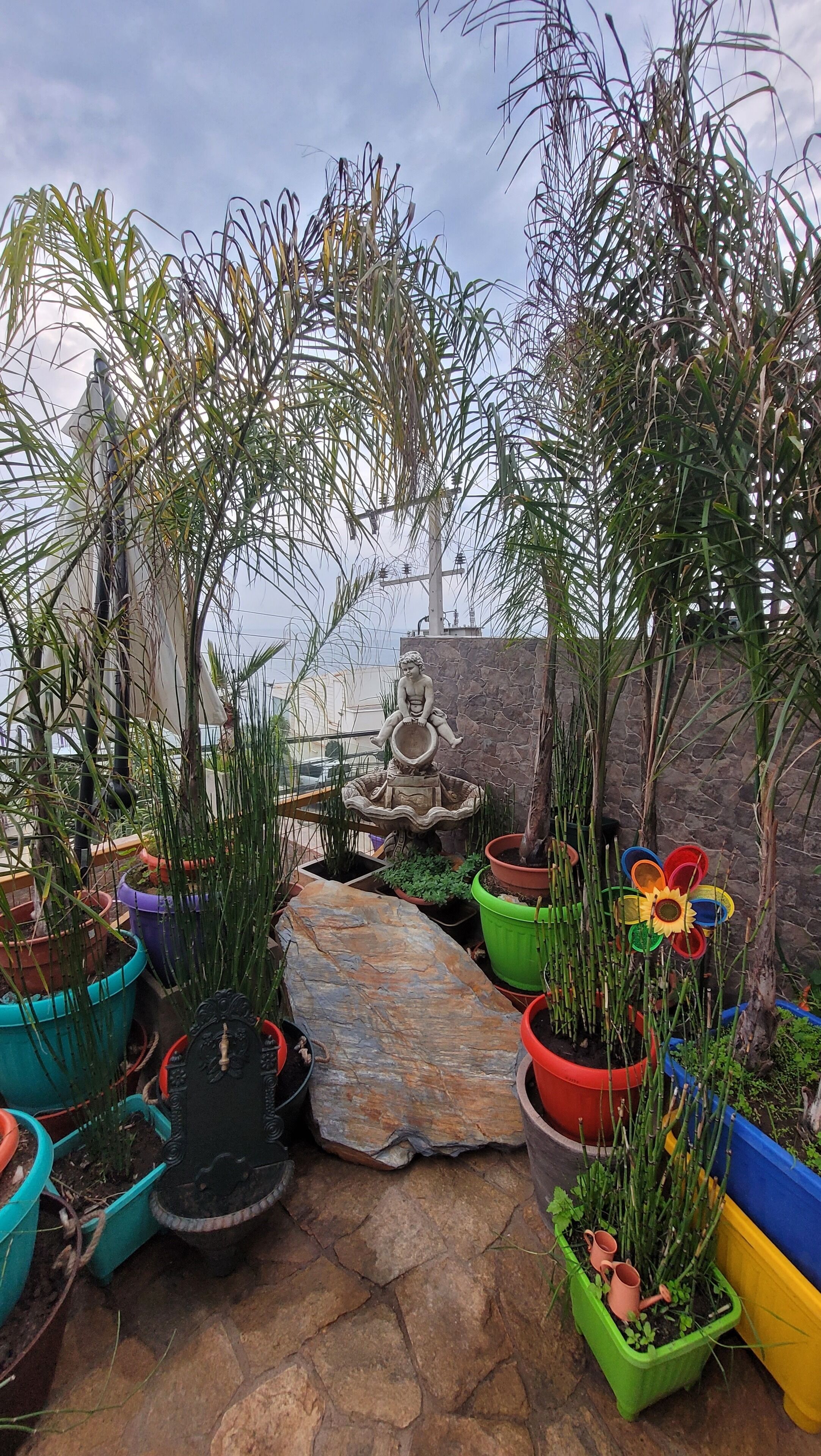 Ein Garten mit einer Statue eines Kindes, das eine Schale hält, umgeben von verschiedenen Blumentöpfen und einem gepflasterten Weg.