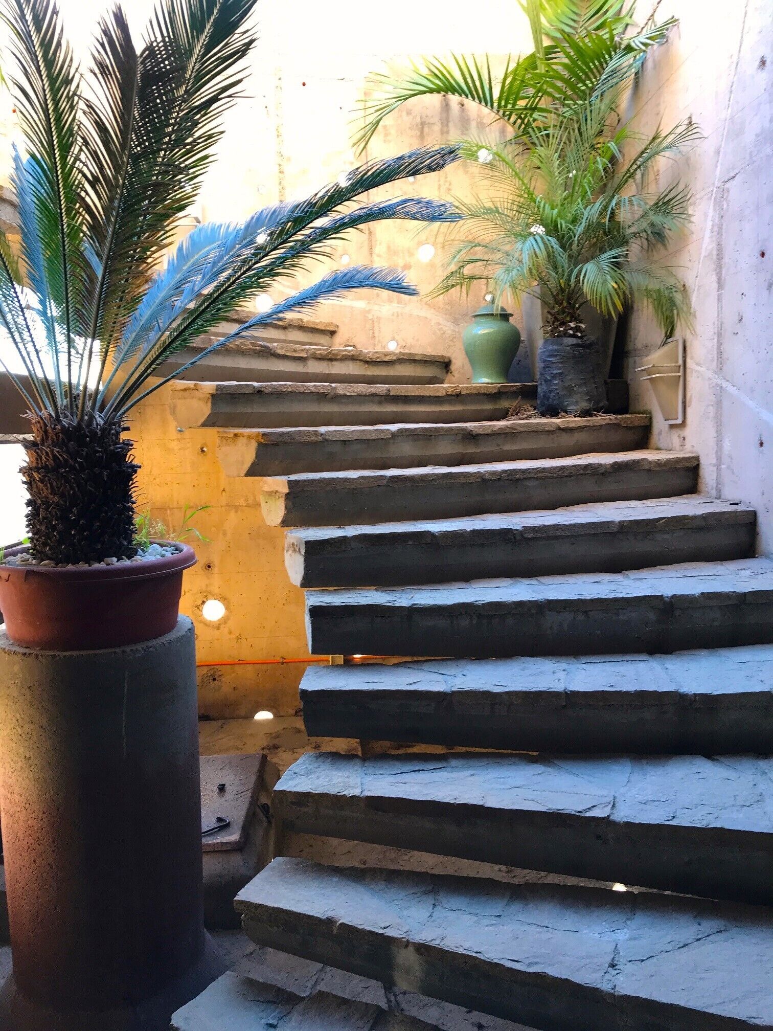 A set of stone steps leading up to a landing with potted plants on either side.