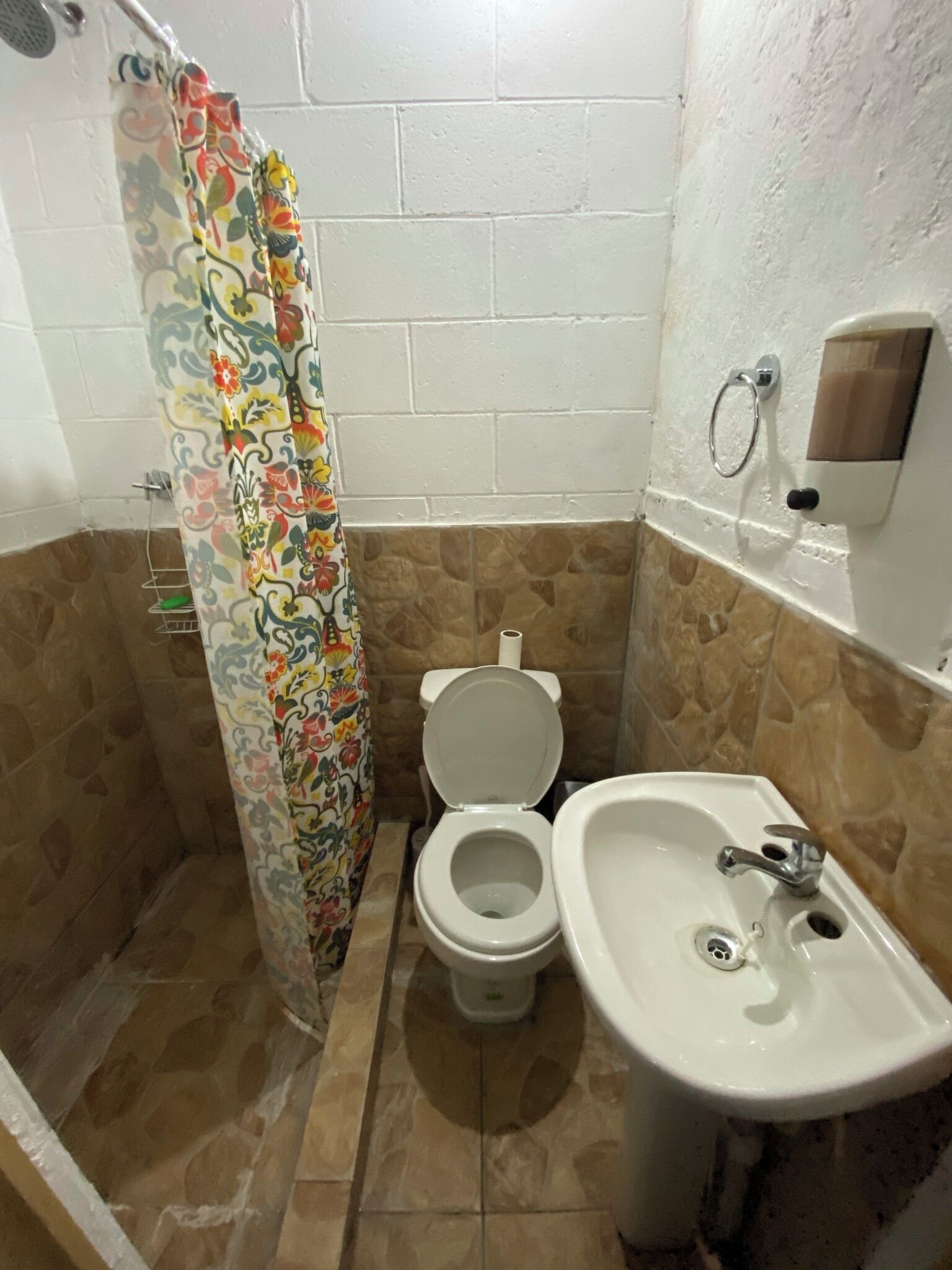 A bathroom with a toilet, sink, and shower curtain.