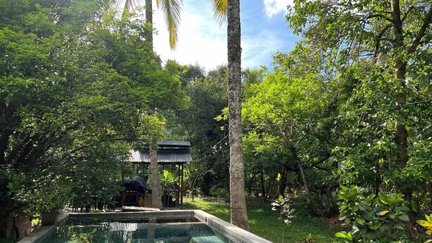 A clear pool surrounded by lush greenery and a traditional structure. - Nanda Parbat Hostal (San Rafael Cedros)