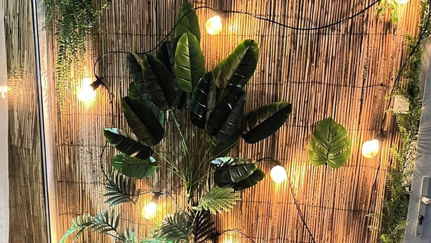 Un rincón acogedor con muebles de mimbre, una planta grande en maceta e iluminación ambiental.