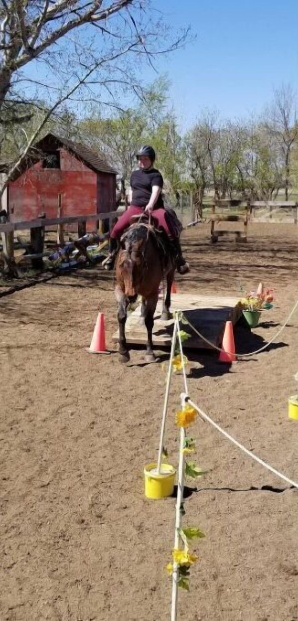 المنطقة المحيطة بالمنشأة