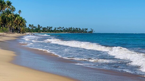 A beach with clear blue water, sandy shore, and palm trees. - Trinity Beach Apt (Rio Grande)