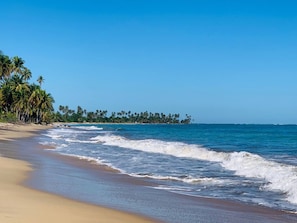 A beach with clear blue water, sandy shore, and palm trees. - Trinity Beach Apt (Rio Grande)