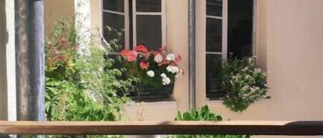 Overnatningsstedets område