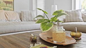 Un salon chaleureux avec une table basse en bois, une plante en pot, un porte-bougie en verre et un bol décoratif.