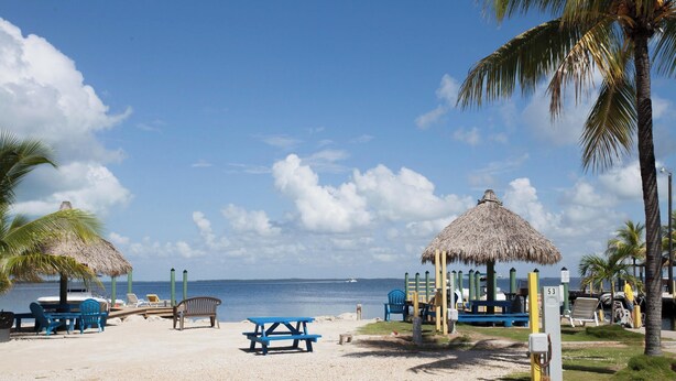 A beach with a thatched-roof pavilion, a picnic table, and lounge chairs. - Captain Jax (Key Largo)