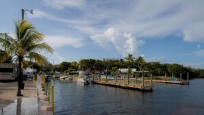 A waterfront area with a dock, boats, and a palm tree. - Captain Jax (Key Largo)