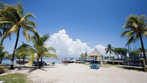 A beach with palm trees, a thatched-roof structure, and a view of the sea. - Captain Jax (Key Largo)