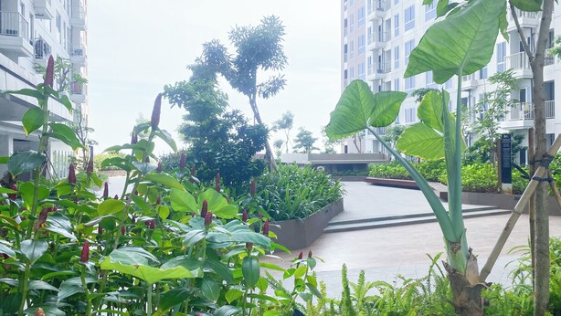 Une cour intérieure agrémentée d’une végétation luxuriante, avec de grandes feuilles et des plantes à fleurs, entourée de bâtiments modernes dotés de balcons.