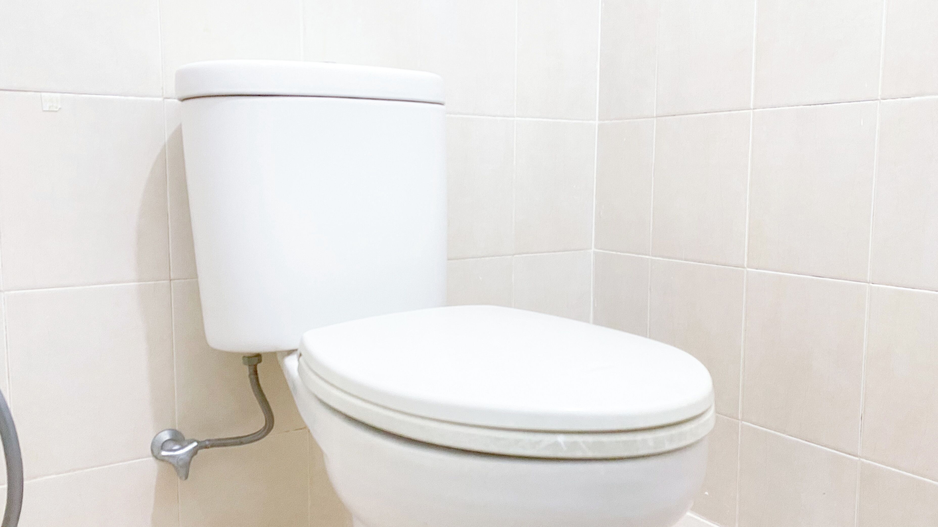 A white toilet with a tank and lid, mounted on a tiled wall.