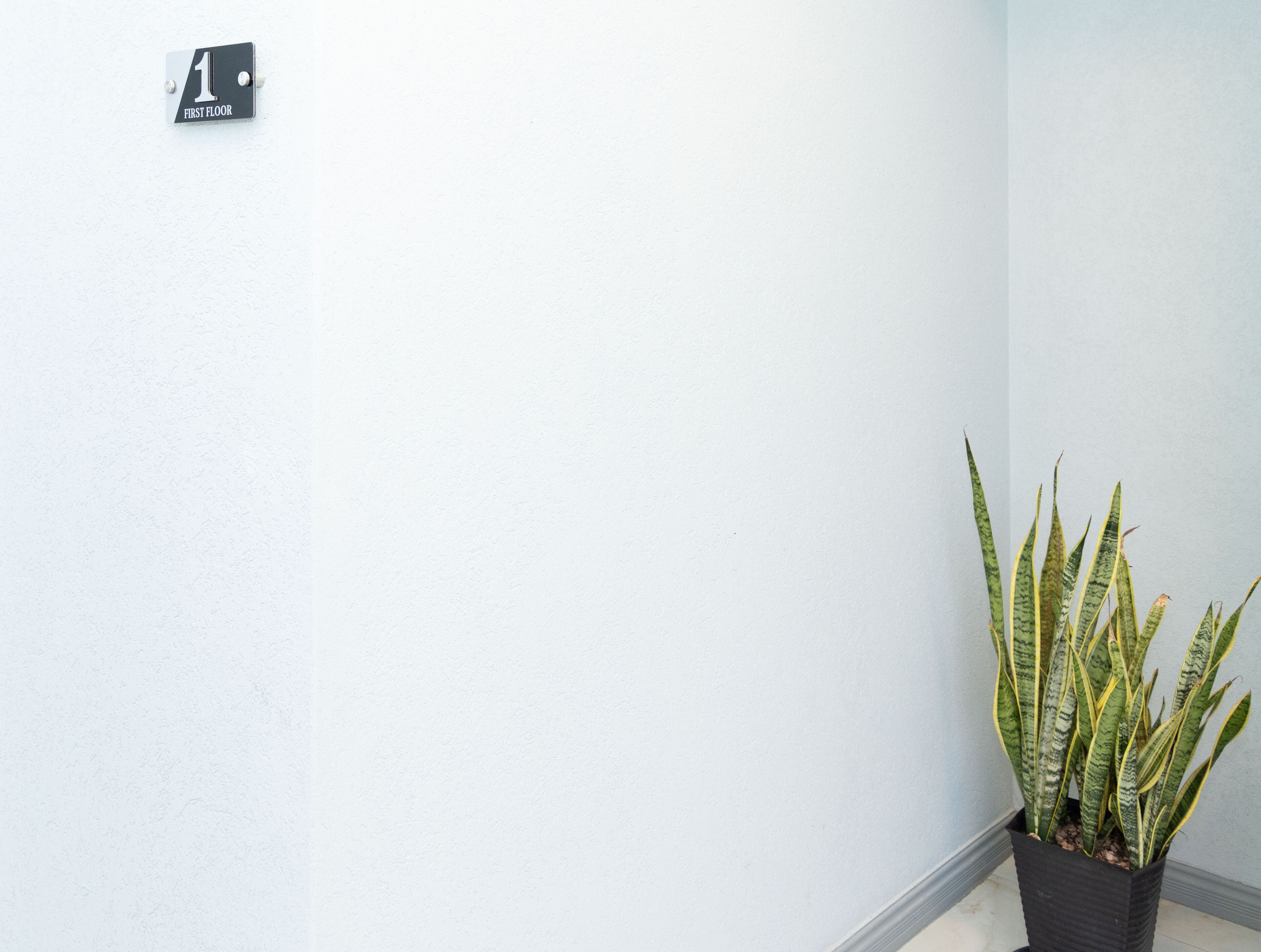 A white wall with a '1 FIRST FLOOR' sign and a potted snake plant.