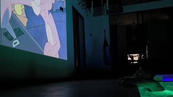 Televisión