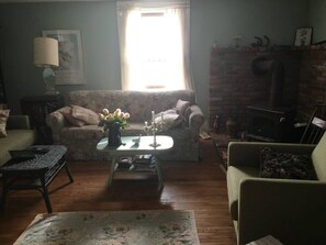 Télévision, cheminée, lecteur de DVD