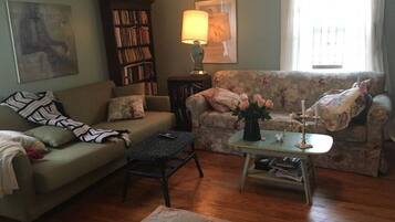 Télévision, cheminée, lecteur de DVD