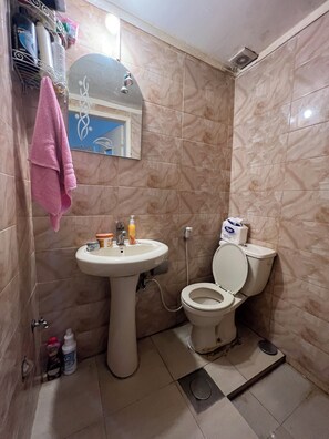 Shower, hair dryer, bidet, towels - centered, cosy,  friendly, safe, unique and fun (Jabal Lubnan)